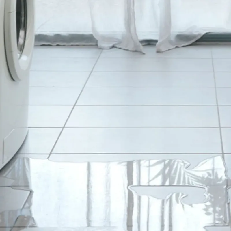Appliance Leak Cleanup in Huntley, IL