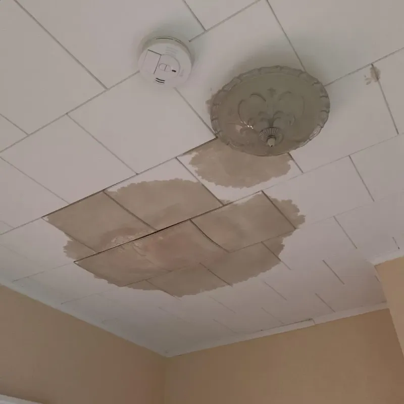 Ceiling Water Damage Repair in Huntley, IL