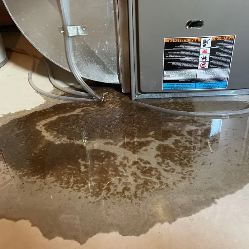 Pipe Burst and Leak Restoration in Huntley, IL
