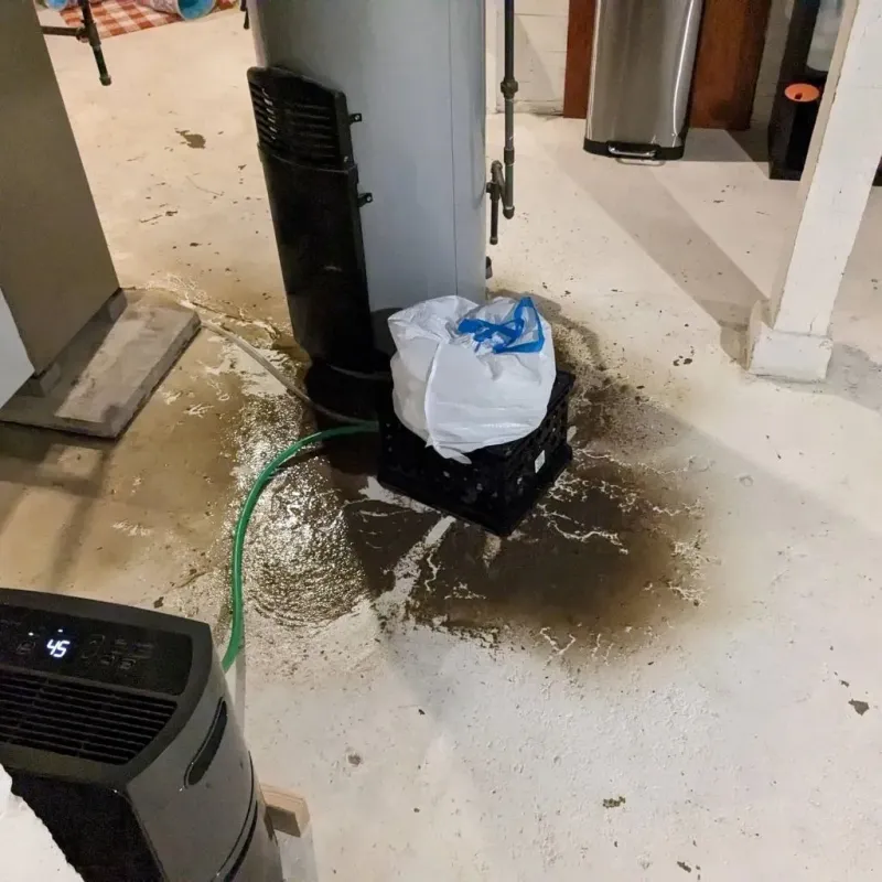 Sewage Backup Cleanup Service in Huntley, IL